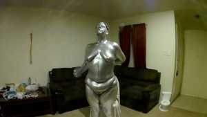 charity-goes-silver_17.jpg